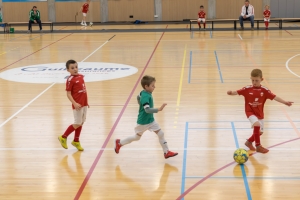 _MG_2620-Avec accentuation-Bruit.jpg